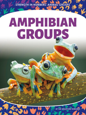 cover image of Amphibian Groups
